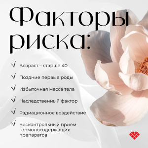 С 13 по 19 октября в России проходит Неделя борьбы с раком молочной железы, направленная на повышение осведомленности и мотивацию к профилактике