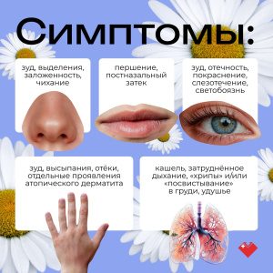 Неделя профилактики аллергических заболеваний проходит в Югре   