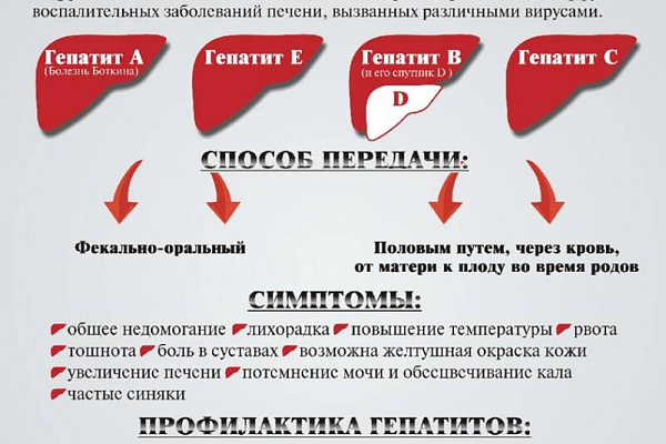 С 13 по 19 марта в Югре проходит неделя по борьбе с заражением и распространением хронического вирусного гепатита С