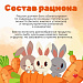 Неделя сохранения здоровья детей проводится в России со второго июня 