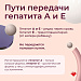 Главный инфекционист Югры предупреждает о рисках гепатита А и Е в летний период