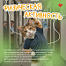 В России проходит Неделя популяризации лучших практик укрепления здоровья на рабочих местах