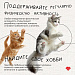 Неделя сохранения психического здоровья