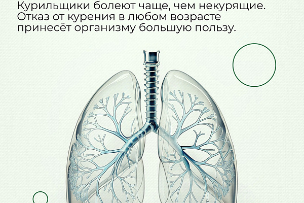 В Югре более 300 организаций реализуют корпоративные программы укрепления здоровья работников
