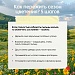 В Югре стартовала Неделя профилактики аллергических заболеваний