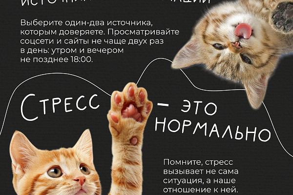 Неделя сохранения психического здоровья